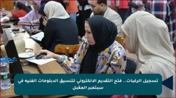 تسجيل الرغبات.. فتح التقديم الإلكتروني لتنسيق الدبلومات الفنية في سبتمبر المقبل